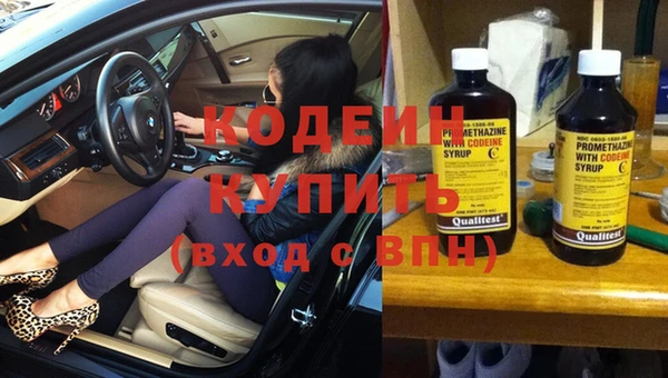 гашик Ельня