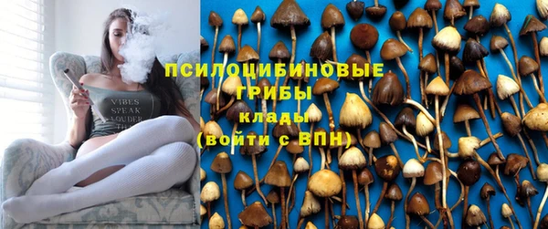 сатива Алзамай