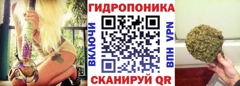 Конопля семена  Богучар 